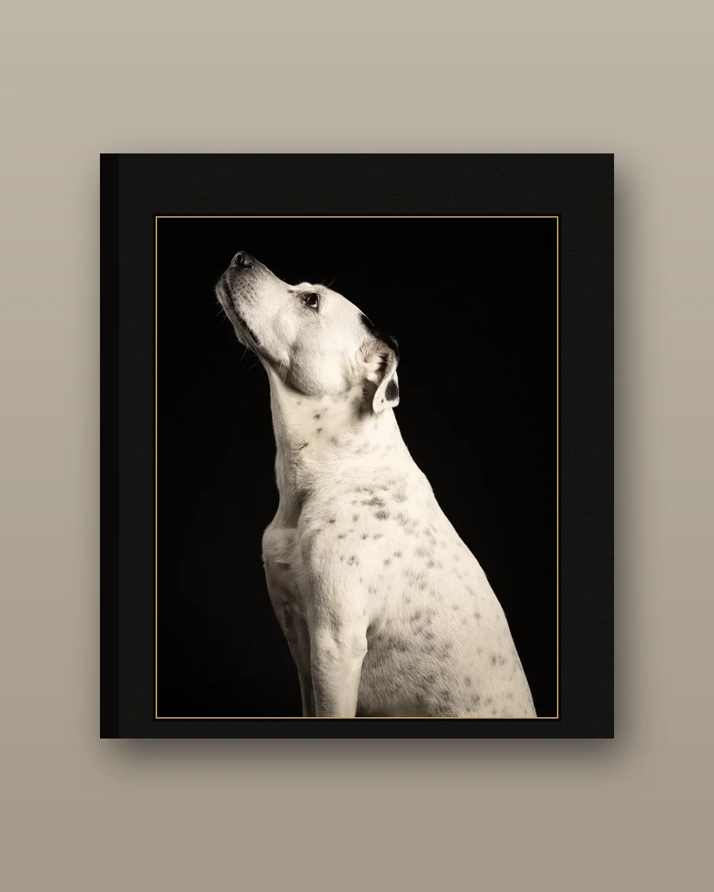 A black linen heirloom album with a portrait inset and gold wordmark