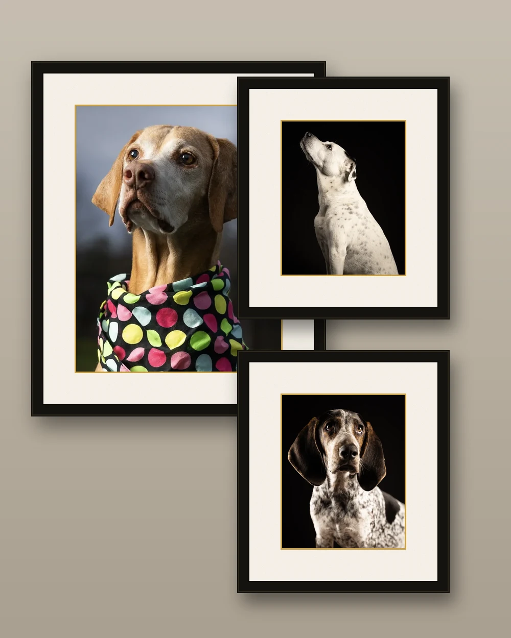 A gallery wall grouping of three framed dog portraits